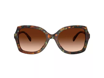 Coach Cw225 Aurinkolasit HC 8410U 584474