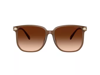 Coach Cw419 Aurinkolasit HC 8413BD 580874