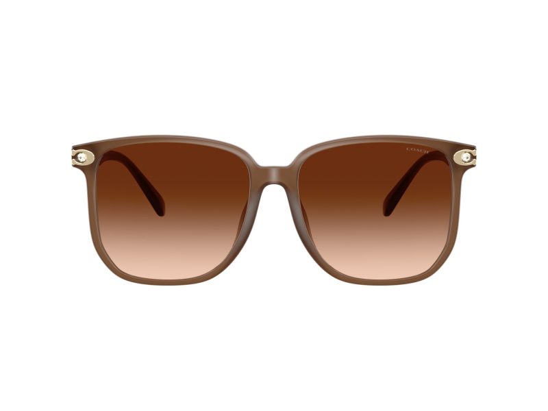 Coach Cw419 Aurinkolasit HC 8413BD 580874