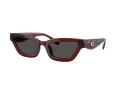 Coach Cad28 Aurinkolasit HC 8420U 587487