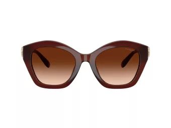 Coach Cad31 Aurinkolasit HC 8421U 584174