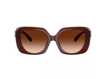 Coach Cad33 Aurinkolasit HC 8422U 584174