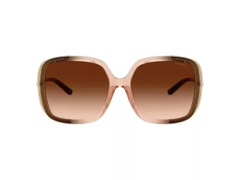 Coach Cad80 Aurinkolasit HC 8423U 576974
