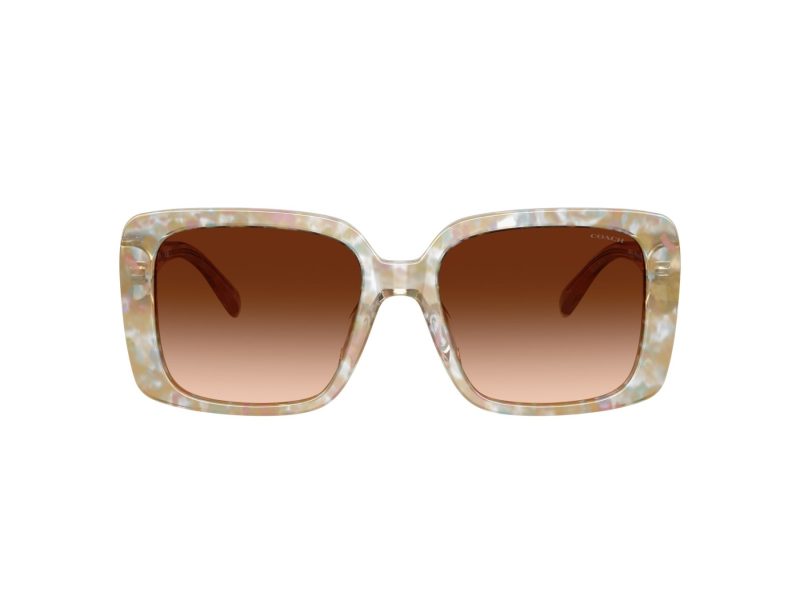 Coach Cad54 Aurinkolasit HC 8424U 586874