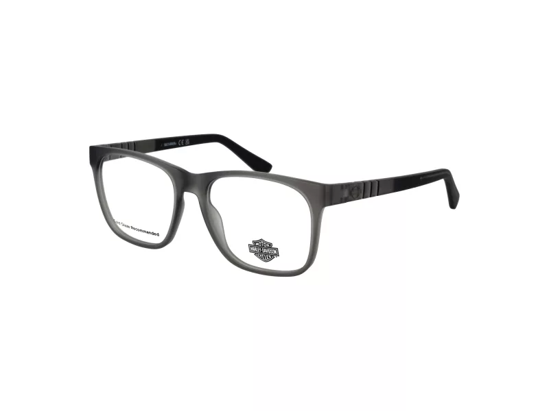 Harley-Davidson Silmalasit HD 00012 020