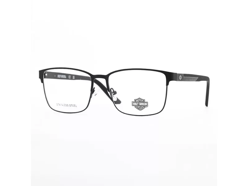Harley-Davidson Silmalasit HD 0946 002