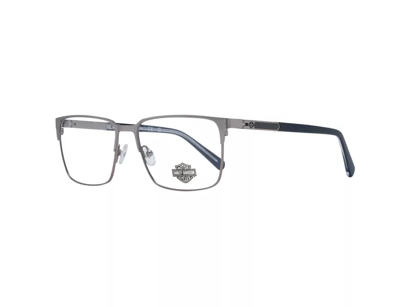Harley-Davidson Silmalasit HD 0976 011