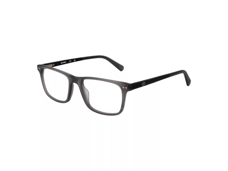Harley-Davidson Silmalasit HD 50034 020