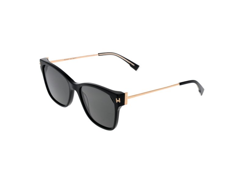 Ana Hickmann Aurinkolasit HI 9173 A01
