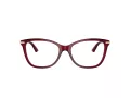Jimmy Choo Silmalasit JC 3007HB 5062