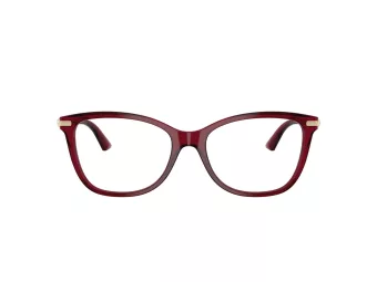 Jimmy Choo Silmalasit JC 3007HB 5062