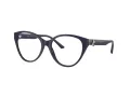 Jimmy Choo Silmalasit JC 3009 5016