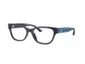 Jimmy Choo Silmalasit JC 3010U 5016