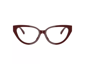 Jimmy Choo Silmalasit JC 3023HU 5057