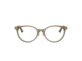 Jimmy Choo Silmalasit JC 3039D 5051
