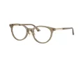 Jimmy Choo Silmalasit JC 3039D 5051