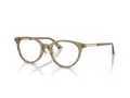 Jimmy Choo Silmalasit JC 3039D 5051