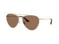 Jimmy Choo Aurinkolasit JC 4002B 301773
