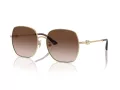 Jimmy Choo Aurinkolasit JC 4008HD 300613