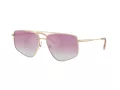 Jimmy Choo Aurinkolasit JC 4011 300658