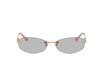 Jimmy Choo Aurinkolasit JC 4013D 300887