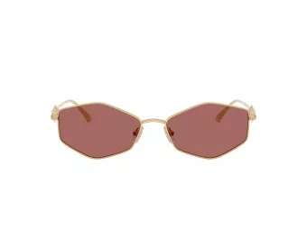 Jimmy Choo Aurinkolasit JC 4017 302369