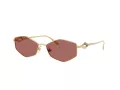 Jimmy Choo Aurinkolasit JC 4017 302369