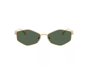 Jimmy Choo Aurinkolasit JC 4017 302371
