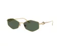 Jimmy Choo Aurinkolasit JC 4017 302371