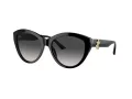 Jimmy Choo Aurinkolasit JC 5007 50008G