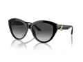 Jimmy Choo Aurinkolasit JC 5007 50008G