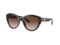 Jimmy Choo Aurinkolasit JC 5007 500213