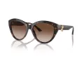 Jimmy Choo Aurinkolasit JC 5007 500213
