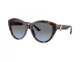 Jimmy Choo Aurinkolasit JC 5007 50028F