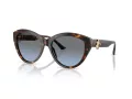 Jimmy Choo Aurinkolasit JC 5007 50028F