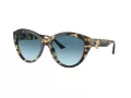 Jimmy Choo Aurinkolasit JC 5007 500419