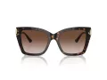 Jimmy Choo Aurinkolasit JC 5012 500213