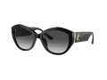 Jimmy Choo Aurinkolasit JC 5013U 50008G