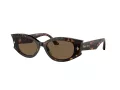 Jimmy Choo Aurinkolasit JC 5015U 500273