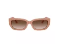 Jimmy Choo Aurinkolasit JC 5017 503213