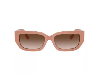 Jimmy Choo Aurinkolasit JC 5017 503213