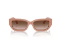 Jimmy Choo Aurinkolasit JC 5017 503213