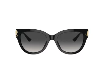 Jimmy Choo Aurinkolasit JC 5018U 50008G