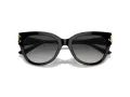 Jimmy Choo Aurinkolasit JC 5018U 50008G