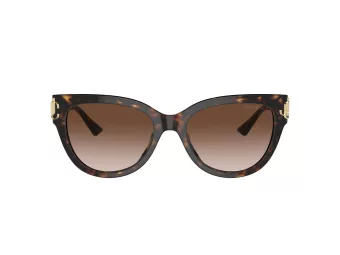 Jimmy Choo Aurinkolasit JC 5018U 500213