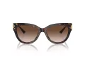 Jimmy Choo Aurinkolasit JC 5018U 500213