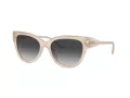 Jimmy Choo Aurinkolasit JC 5018U 50258G