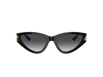 Jimmy Choo Aurinkolasit JC 5019 50008G