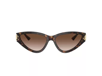 Jimmy Choo Aurinkolasit JC 5019 500213