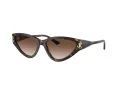 Jimmy Choo Aurinkolasit JC 5019 500213